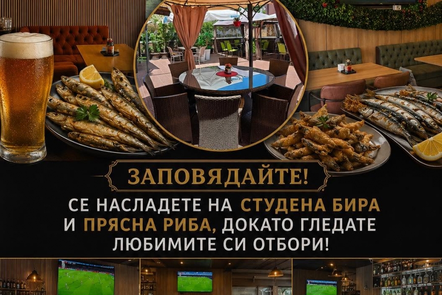 Оферти 54